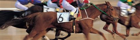 cassia county fair horse races sportsbook review|Pari.